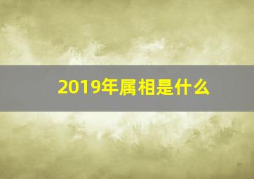 2019年属相是什么