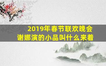 2019年春节联欢晚会谢娜演的小品叫什么来着