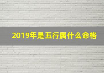 2019年是五行属什么命格