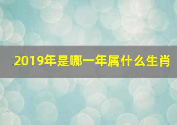 2019年是哪一年属什么生肖