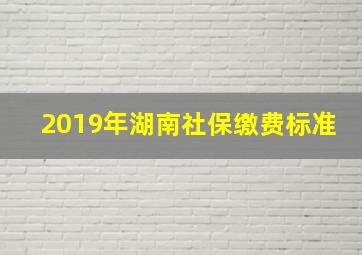 2019年湖南社保缴费标准