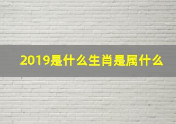 2019是什么生肖是属什么