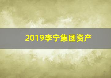 2019李宁集团资产