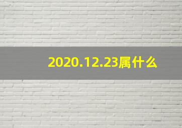 2020.12.23属什么