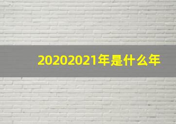 20202021年是什么年