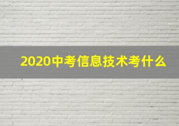 2020中考信息技术考什么