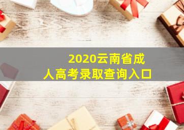 2020云南省成人高考录取查询入口