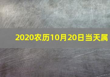 2020农历10月20日当天属