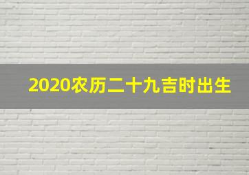 2020农历二十九吉时出生