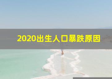 2020出生人口暴跌原因