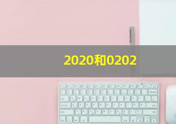 2020和0202