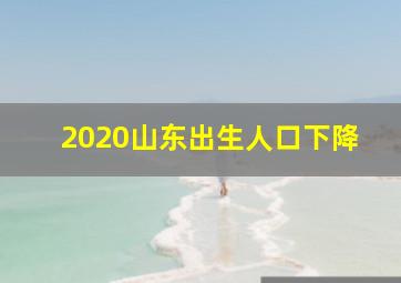 2020山东出生人口下降