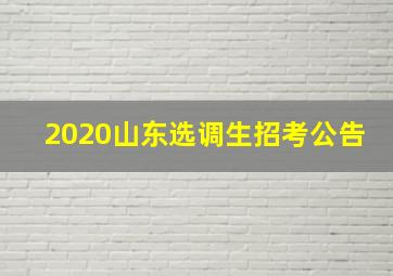 2020山东选调生招考公告