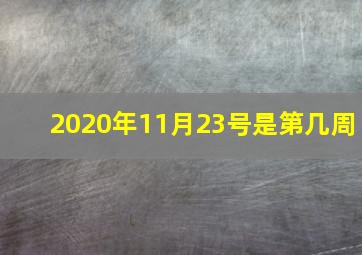 2020年11月23号是第几周