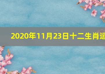 2020年11月23日十二生肖运