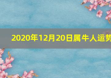 2020年12月20日属牛人运势