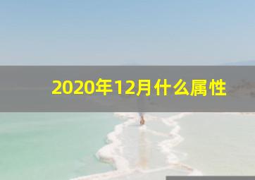 2020年12月什么属性