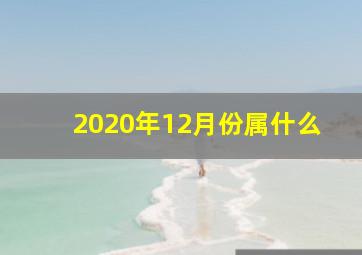 2020年12月份属什么