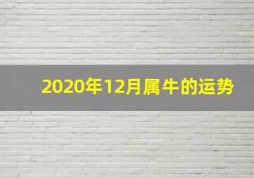 2020年12月属牛的运势