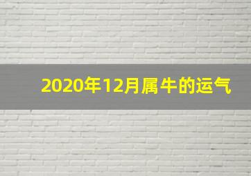 2020年12月属牛的运气