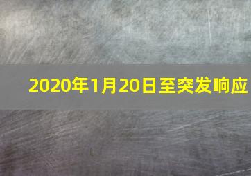 2020年1月20日至突发响应