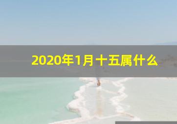 2020年1月十五属什么