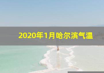 2020年1月哈尔滨气温