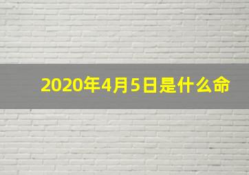 2020年4月5日是什么命