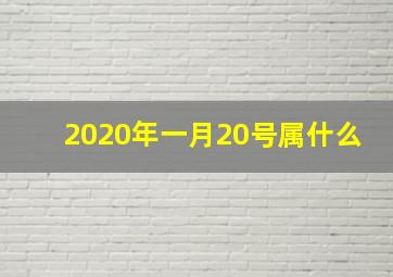 2020年一月20号属什么