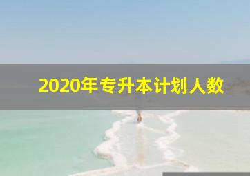 2020年专升本计划人数