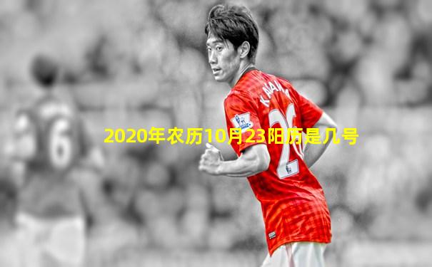 2020年农历10月23阳历是几号