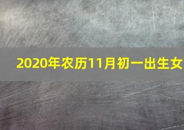 2020年农历11月初一出生女