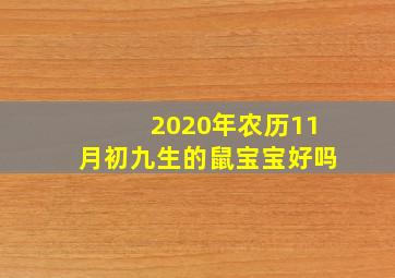 2020年农历11月初九生的鼠宝宝好吗