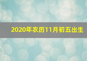 2020年农历11月初五出生