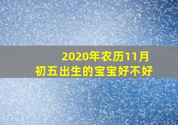 2020年农历11月初五出生的宝宝好不好