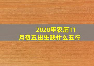 2020年农历11月初五出生缺什么五行