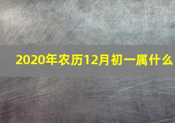 2020年农历12月初一属什么