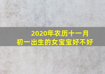 2020年农历十一月初一出生的女宝宝好不好