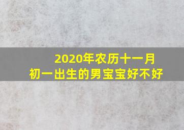 2020年农历十一月初一出生的男宝宝好不好