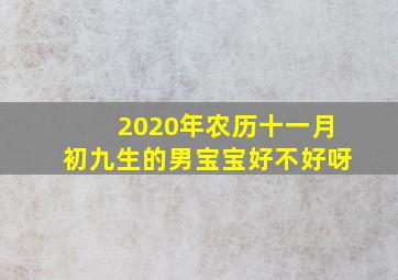 2020年农历十一月初九生的男宝宝好不好呀