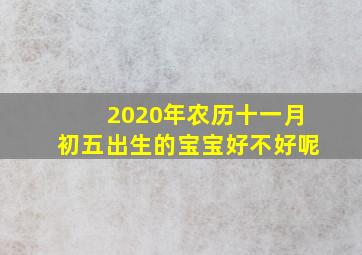 2020年农历十一月初五出生的宝宝好不好呢