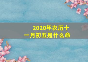 2020年农历十一月初五是什么命