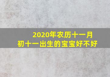 2020年农历十一月初十一出生的宝宝好不好