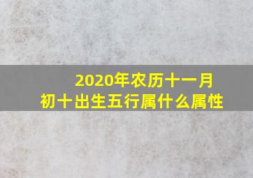 2020年农历十一月初十出生五行属什么属性