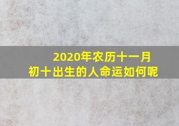 2020年农历十一月初十出生的人命运如何呢