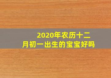 2020年农历十二月初一出生的宝宝好吗