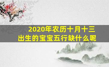 2020年农历十月十三出生的宝宝五行缺什么呢