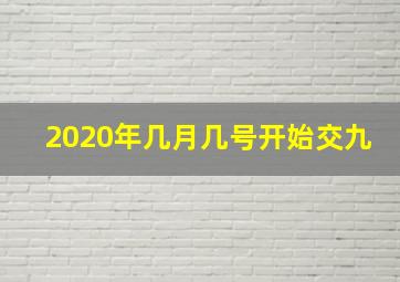 2020年几月几号开始交九