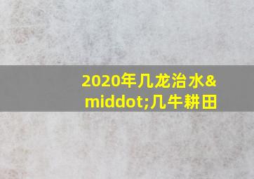 2020年几龙治水·几牛耕田