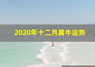 2020年十二月属牛运势